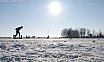 Schaatsen 2013